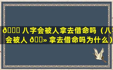 💐 八字会被人拿去借命吗（八字会被人 🌻 拿去借命吗为什么）